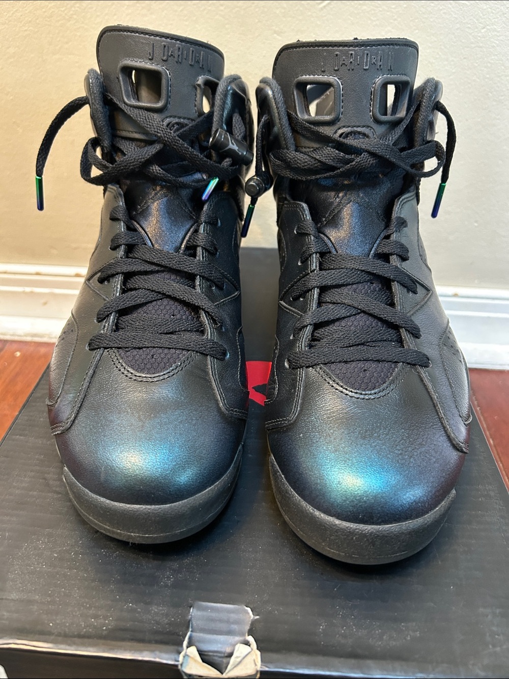 Men’s size 11.5 Nike Air Jordan 6 retro chameleon